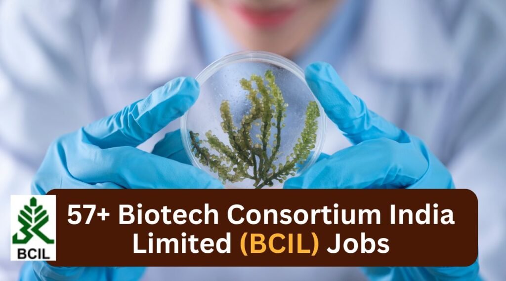 Biotech Consortium India Limited Jobs