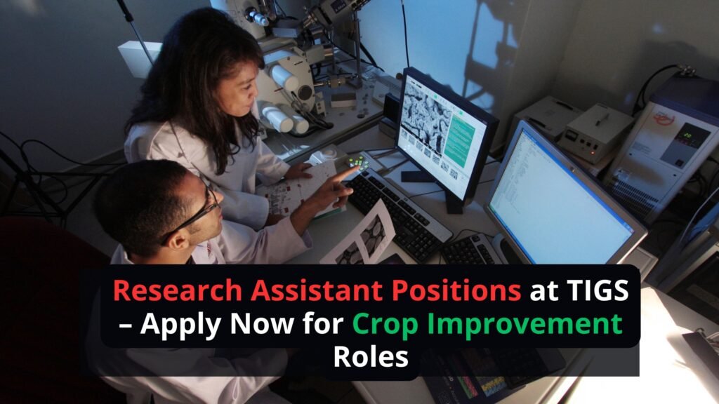 Research Assistant Positions at TIGS – Apply Now for Crop Improvement Roles