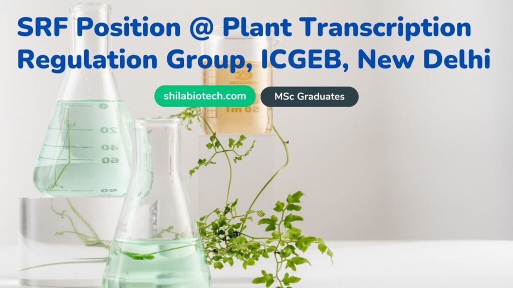 SRF Position @ Plant Transcription Regulation Group, ICGEB, New Delhi